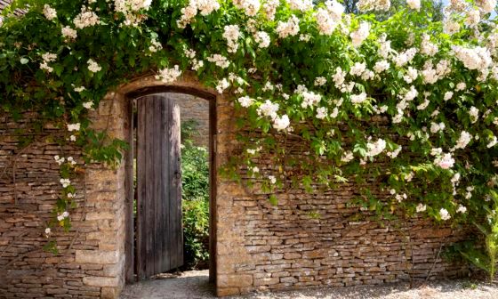 best-garden-gates