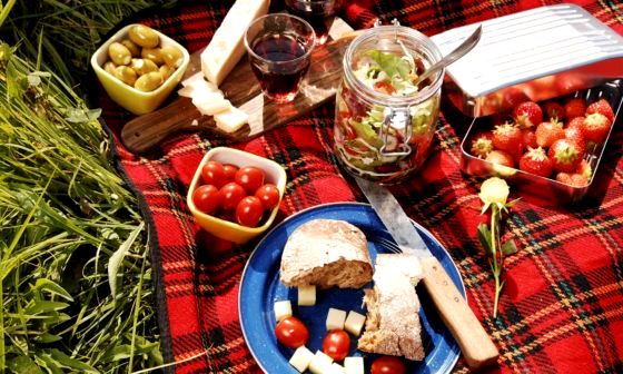 best-picnic-blanket