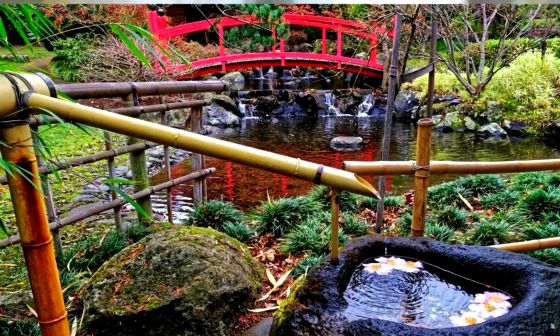 japanese bamboo water feature