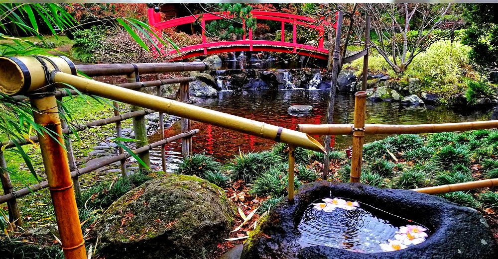 japanese bamboo water feature