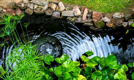 pond filter box