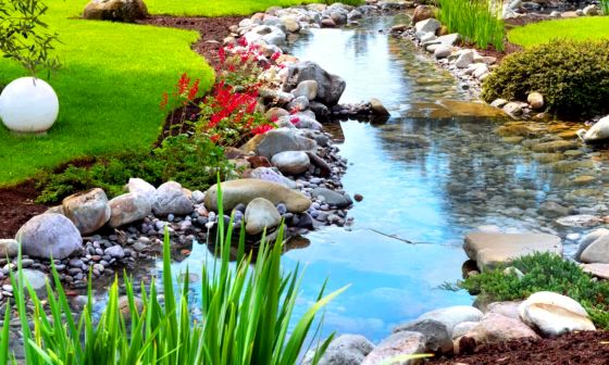 pond vacuum