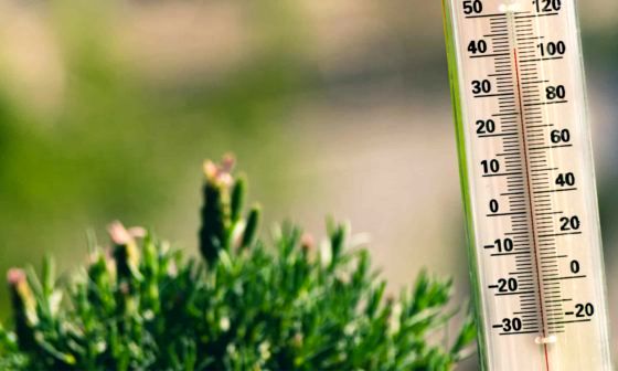 best-garden-thermometers