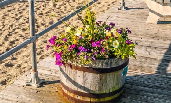 barrel pots