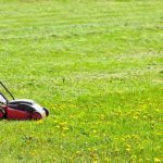 best-lawn-mowers-for-small-gardens