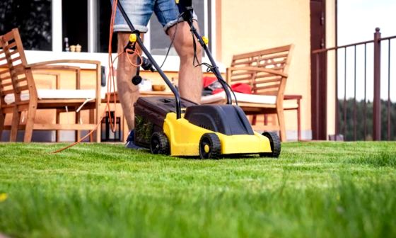 best-mulching-lawn-mowers