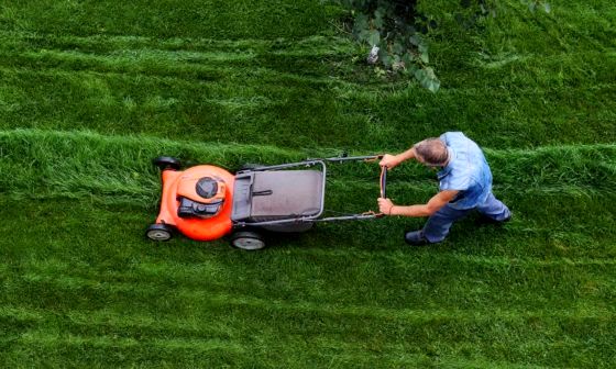 best-professional-lawn-mowers