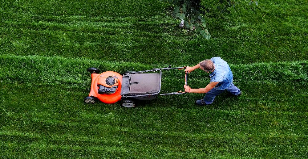 best-professional-lawn-mowers