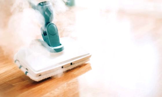 best-steam-cleaners