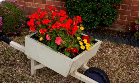 best-wheelbarrow-planters