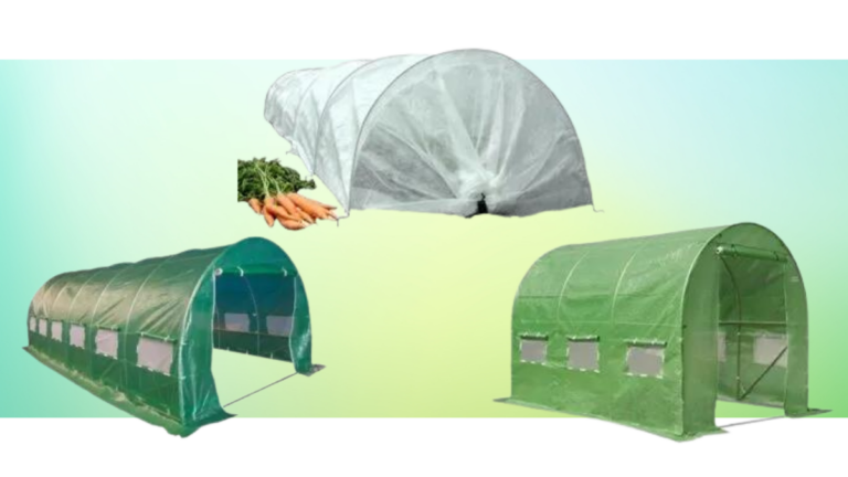5 Best Polytunnels For Your Allotment (2024 Review UK)