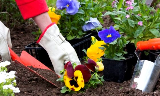 best-garden-hand-trowel