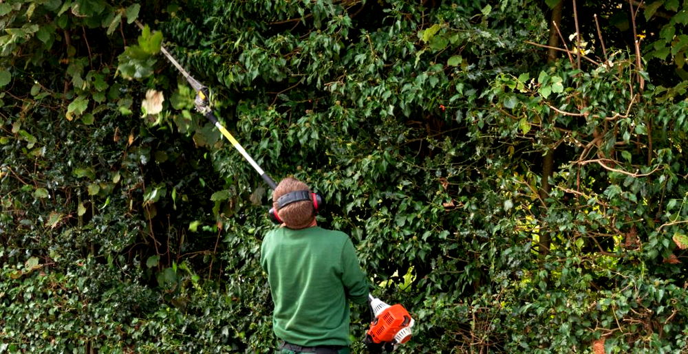 10 Best Telescopic Hedge Trimmers Tested (2022 Review UK)