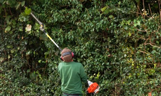 best-long-reach-hedge-trimmer