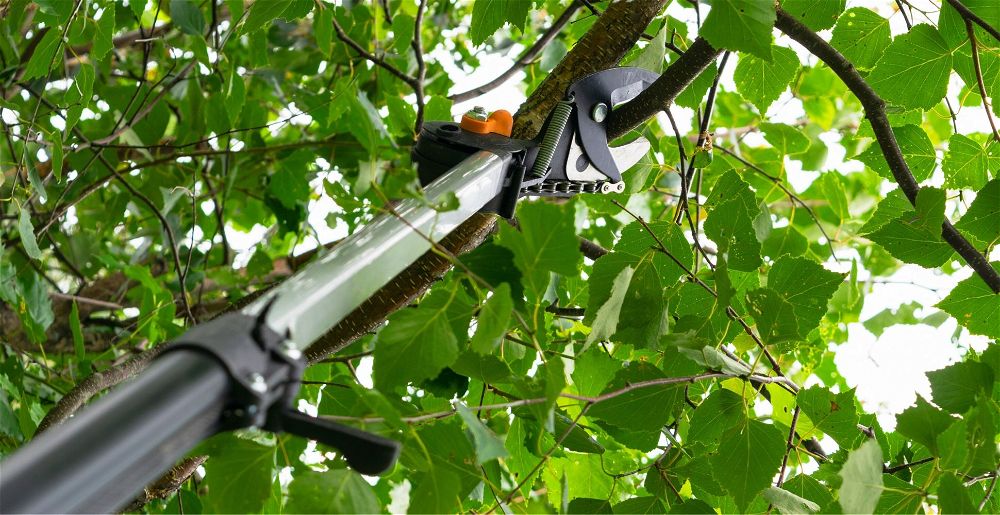 Details about   TELESCOPIC GARDEN LOPPER EXTENDABLE TREE HIGH BRANCH PRUNER CUTTER 30cm SAW 