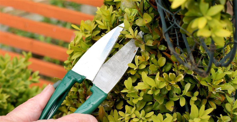 best-topiary-shears