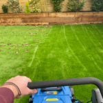 The Best Artificial Grass Brushes & Sweepers