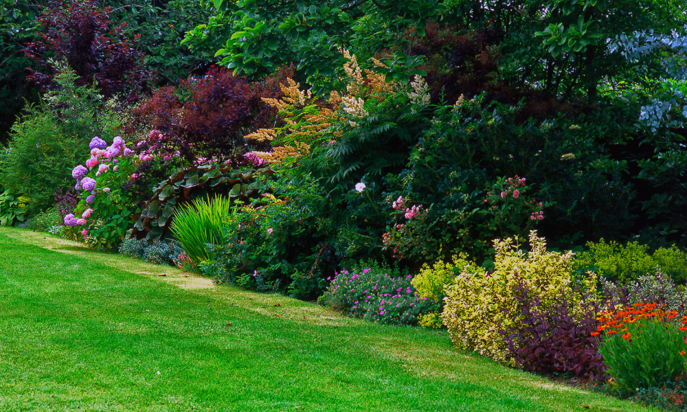 7 Best Grass Seed Products For Shady Areas (2024 Review UK)