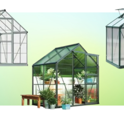 The Best Polycarbonate Greenhouses
