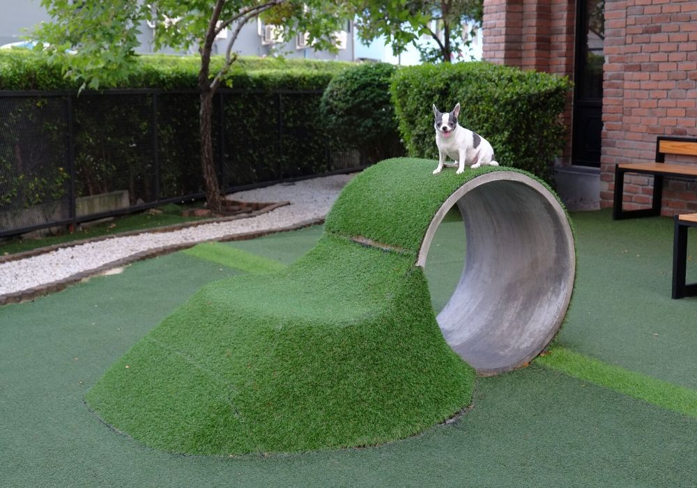 artificial-grass-benefit-safe-for-pets