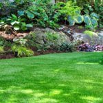 best-brush-for-artificial-grass-astro-turf