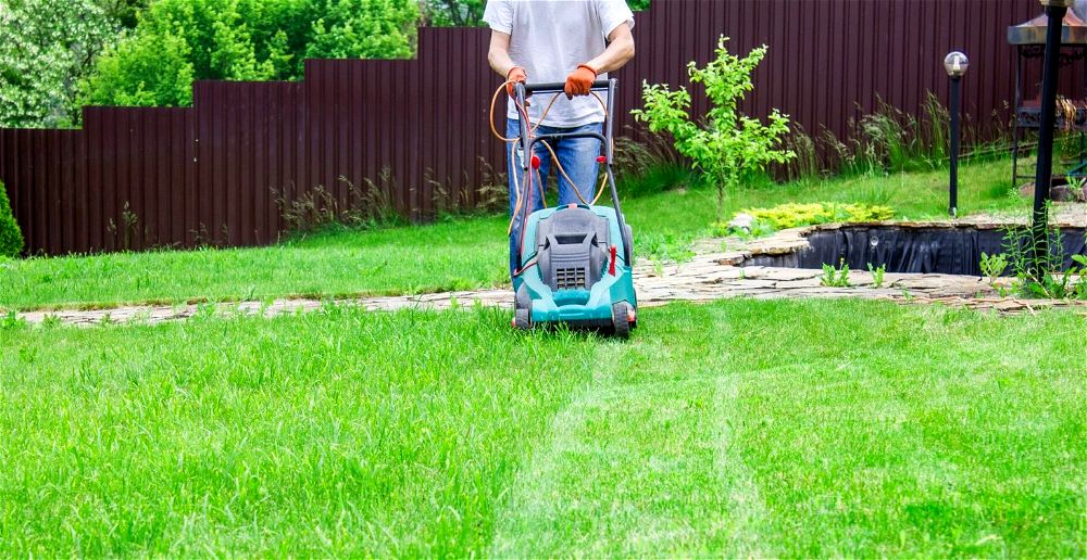 5 Best Lawn Mowers for Wet & Long Grass (2022 Review)