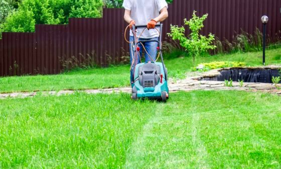 best-roller-lawn-mower
