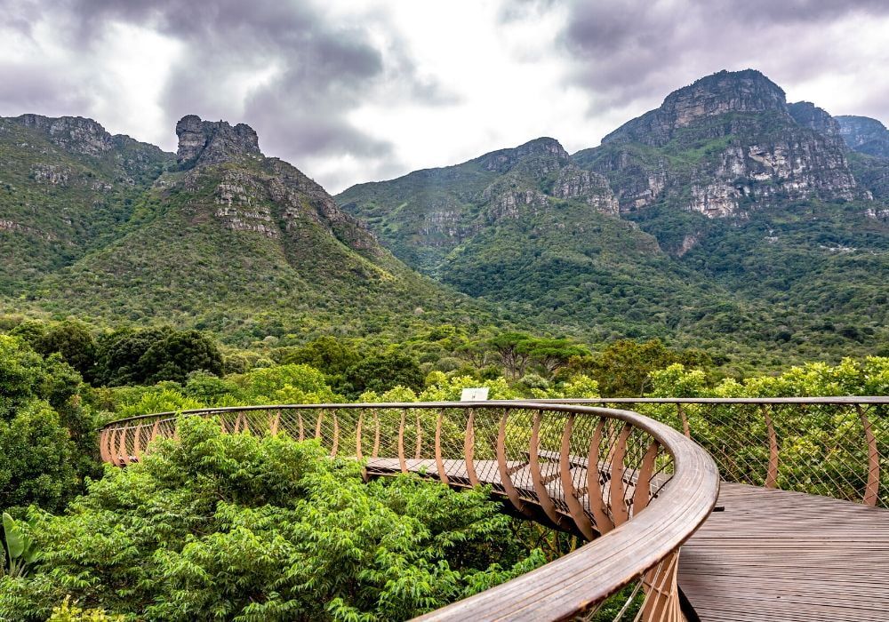 kirstenbosch-national-botanical-garden-cape-town-south-africa