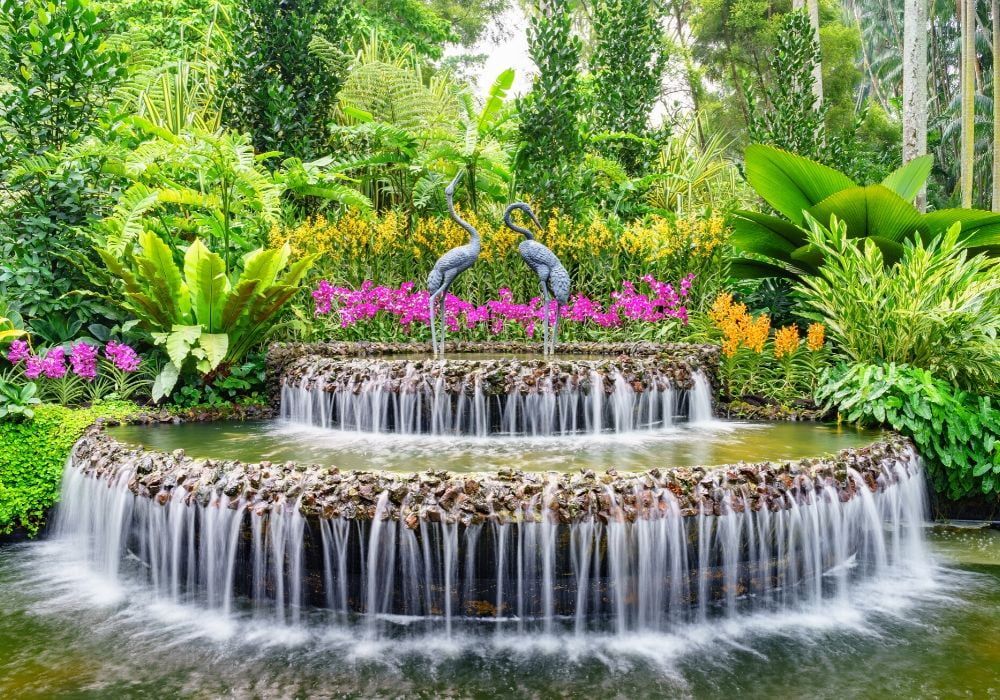 national-orchid-garden-singapore-botanical-gardens