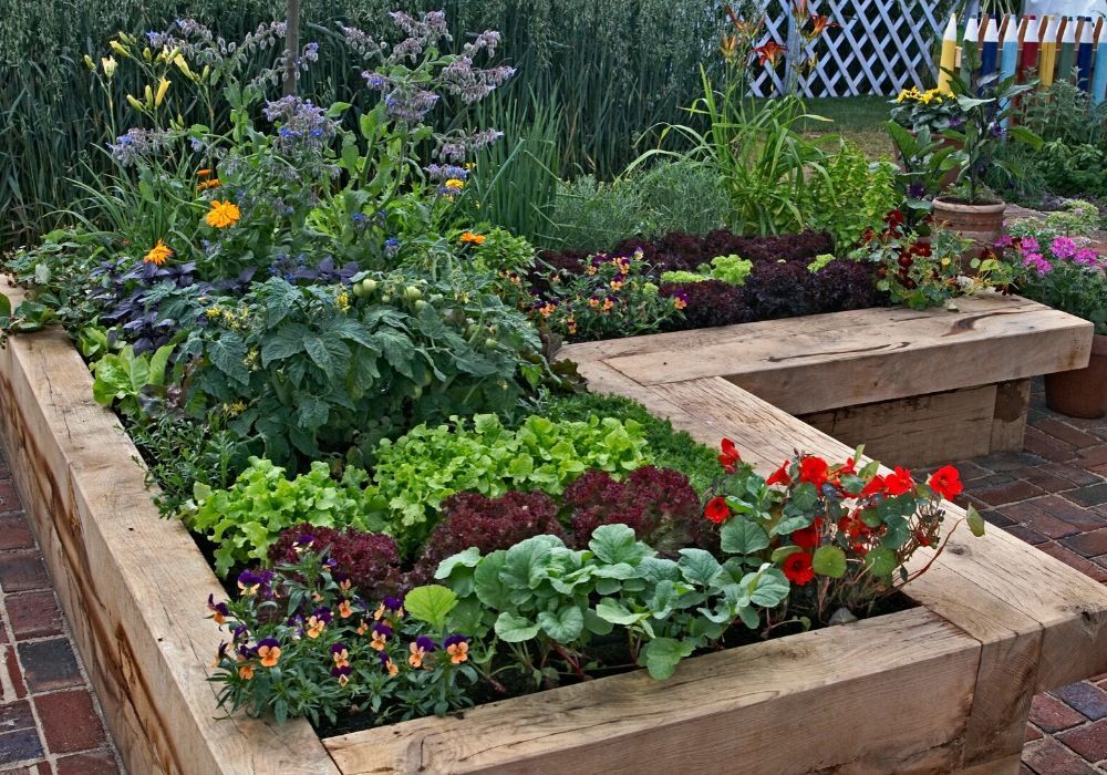 vegetable-garden-raised-bed