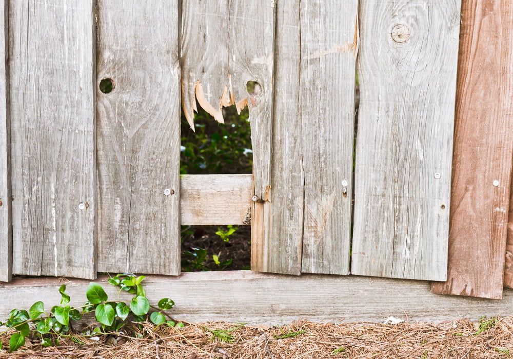 broken-fence-panel