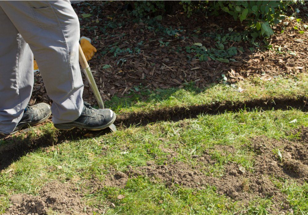 garden-border-size