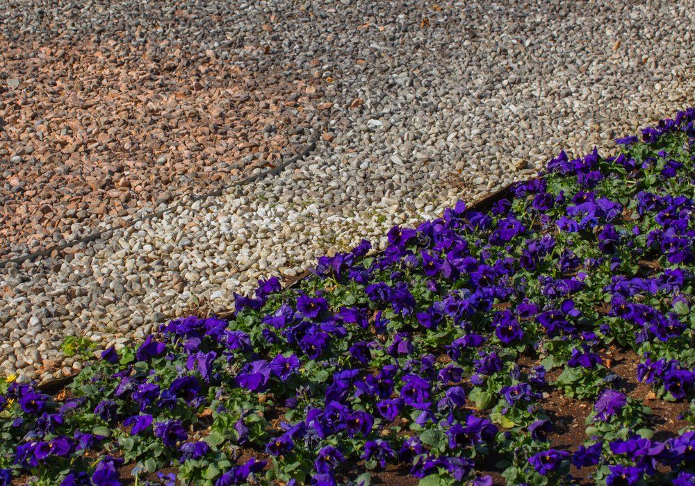 garden-metal-edging