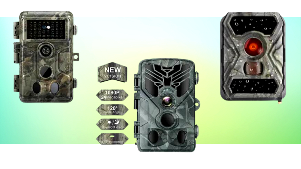 4 Best Garden Wildlife Cameras (2026 Review UK)