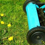 best-cylinder-lawn-mower