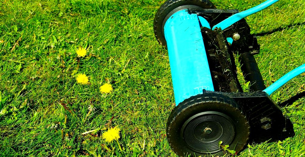 best-cylinder-lawn-mower