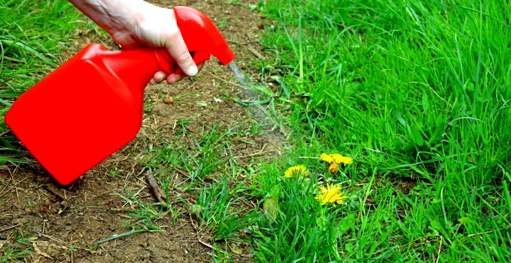 8 Best Cat Repellents UK (2022 Review)