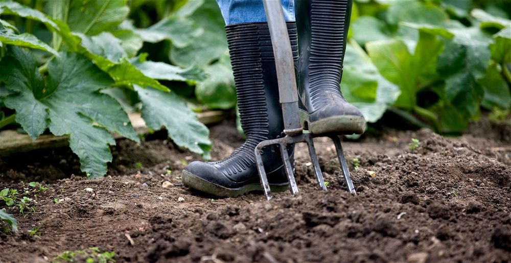 best wellingtons for gardening