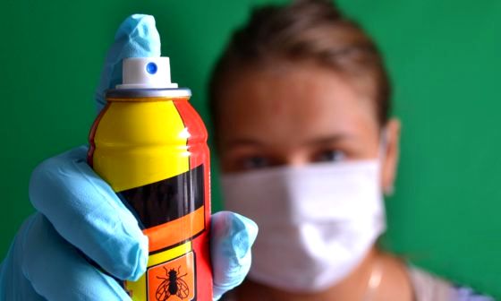 best-fly-killer-spray