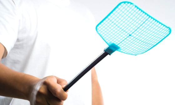 best-fly-swatter