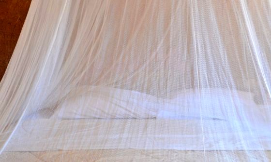 best-mosquito-net