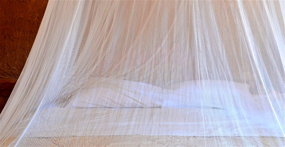 best-mosquito-net