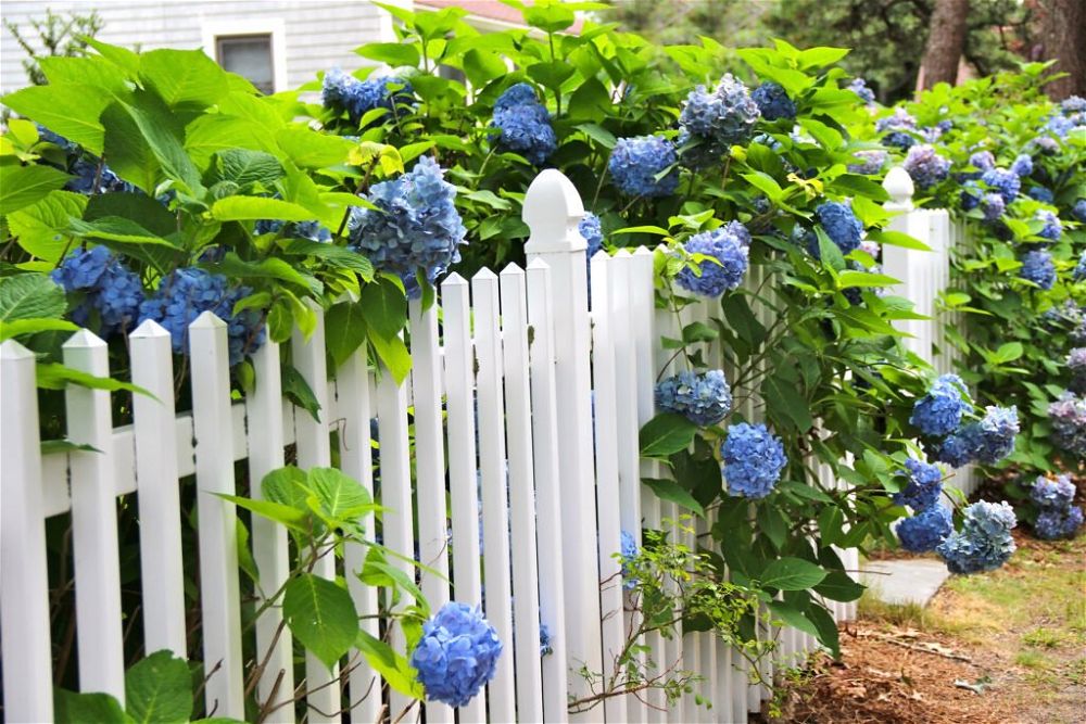 1. Front Garden Fence