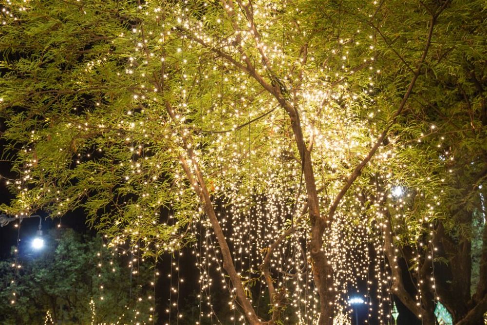 19. Garden Tree Lighting