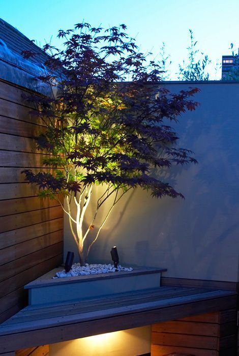 23. Garden LED Lighting