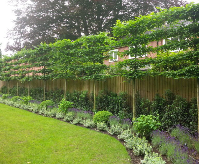 41 Modern Garden Fence Ideas UK (Cheap & Colourful)