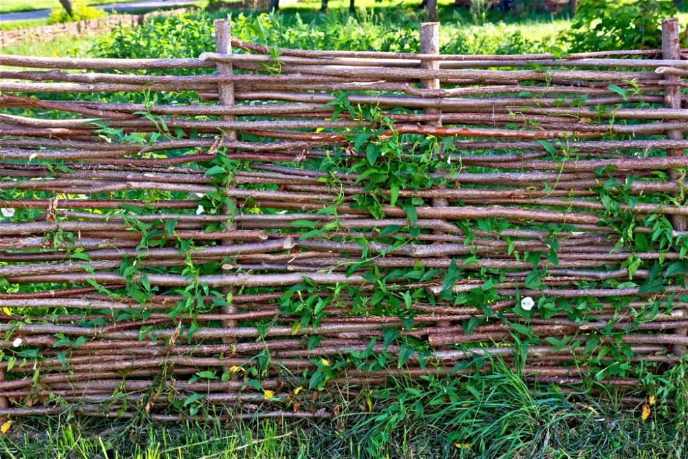 9. Cheap Garden Fence