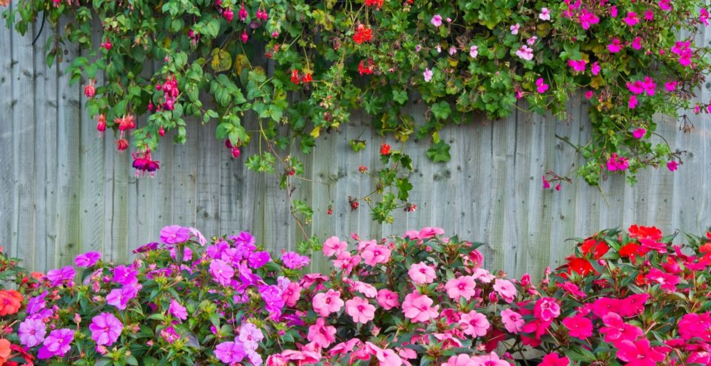 garden fence ideas