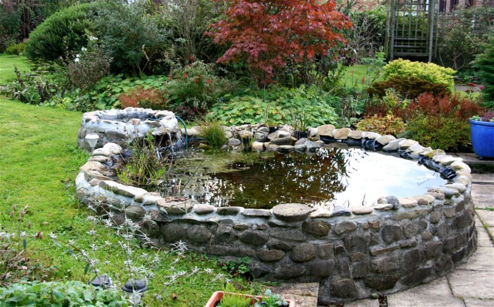 1. Raised Garden Pond