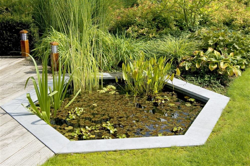 15. Garden Pond Landscaping
